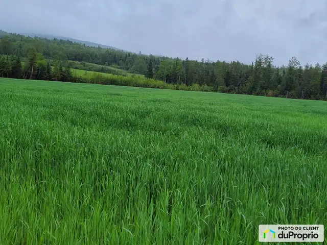 $295,000 - Arable Land for sale in Clermont - Photo 4