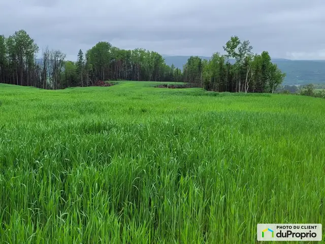 $295,000 - Arable Land for sale in Clermont - Photo 5
