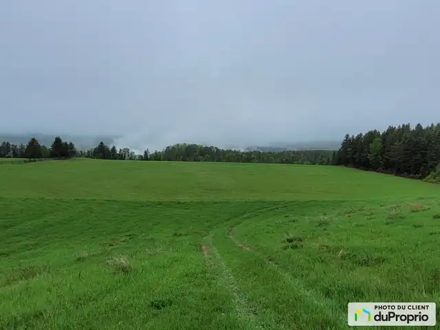 $295,000 - Arable Land for sale in Clermont - Photo 6