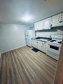 basement apartment - Photo 3