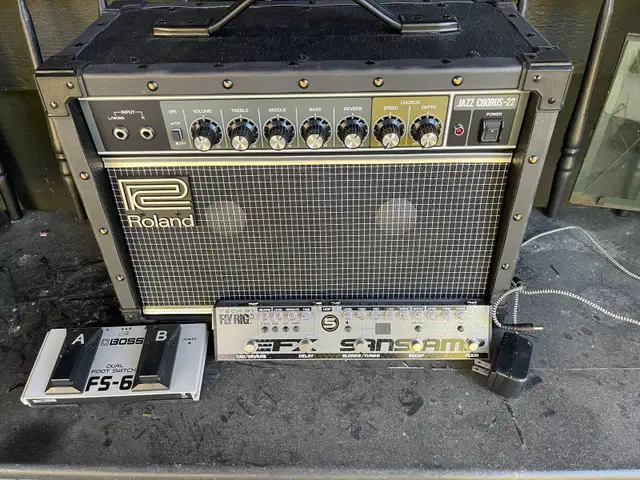 Roland JC 22