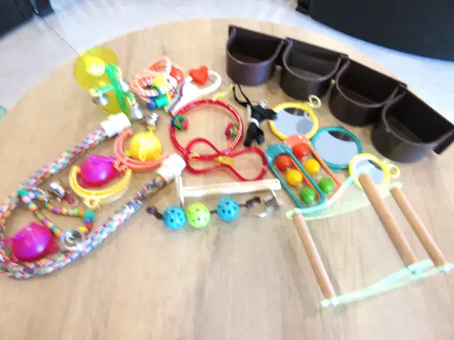 CAGE, PIED, BAIN, JOUETS pour INSÉPARABLE-S - Photo 4