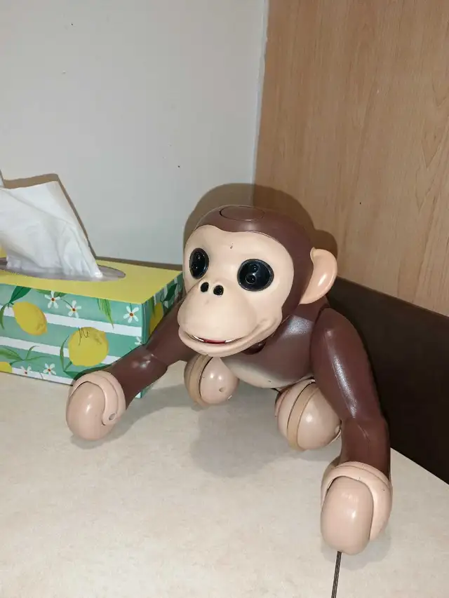 singe pré programmer imite un vrai singe