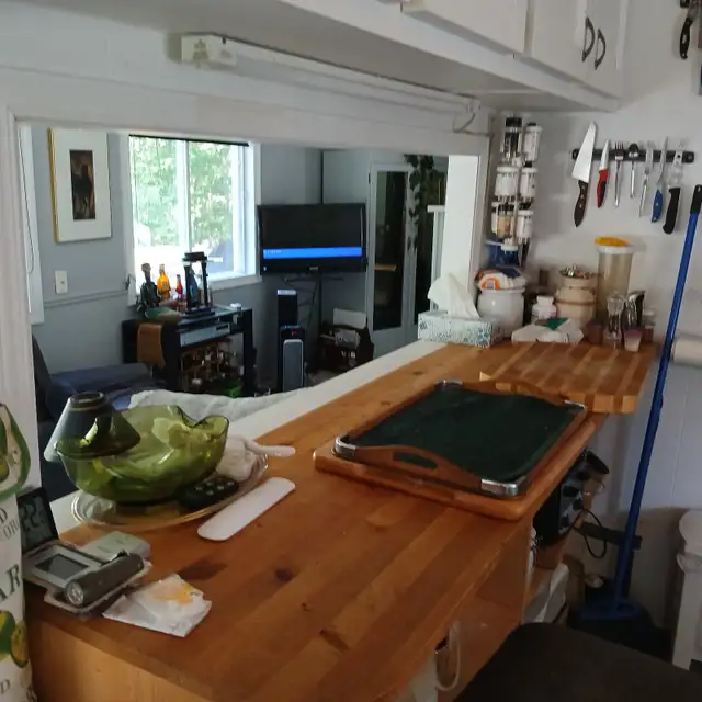Petit Chalet à Vendre Sainte-Agathe-des-Monts - Photo 6