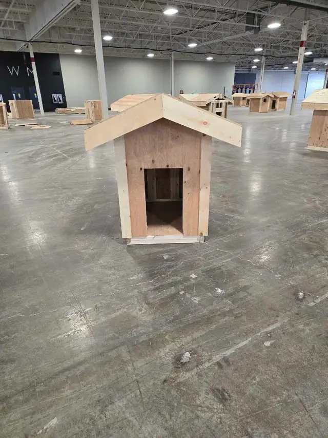 Free Wood (Carpentry Items)