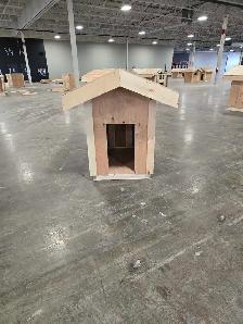 Free Wood (Carpentry Items)