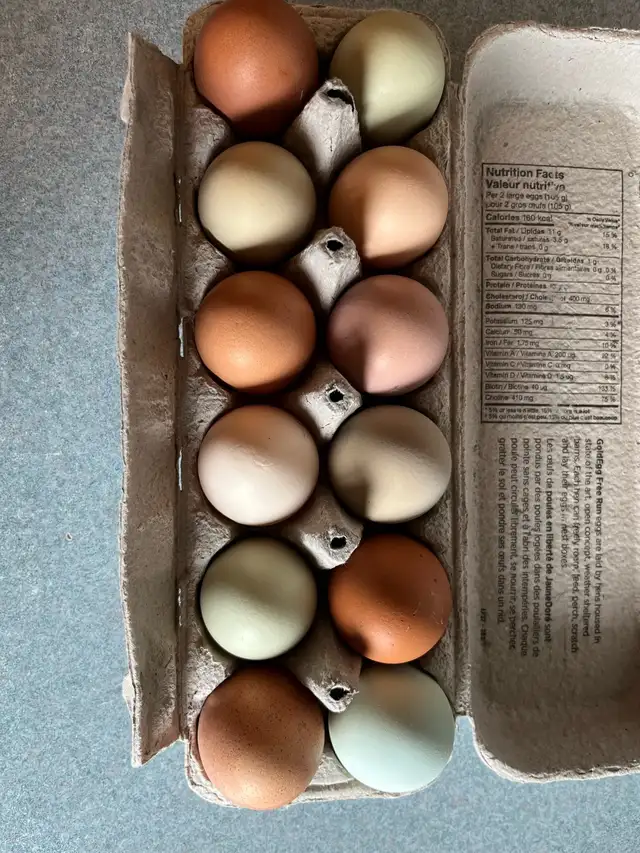 Hatching Eggs For Sale!