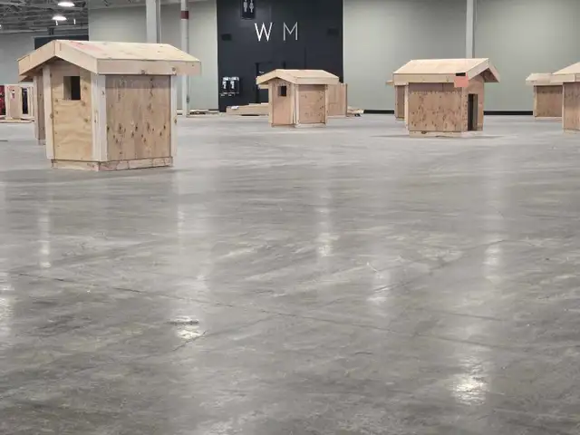 Free Wood! - Photo 3