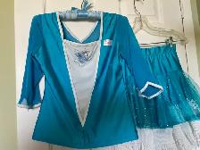 Lovely little girls'  2-piece fancy clothing ensemble