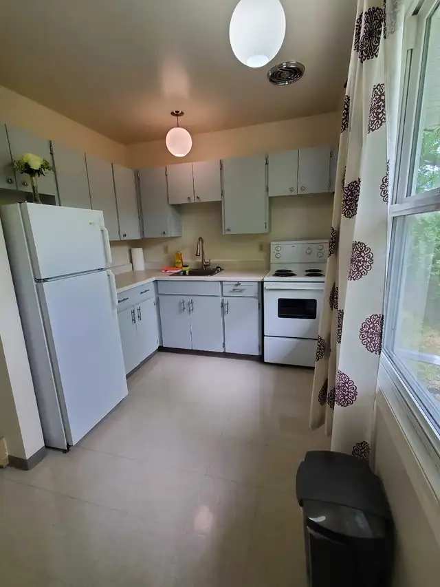 Binscarth MB Rental Suite - Photo 9