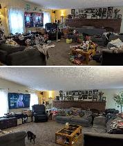 Organizing & Cleaning - Closets, Kitchens, Bathrooms - Photo 2