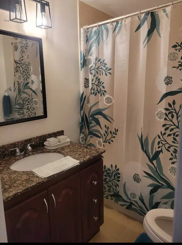 All Inclusive 1BDRM Basement Apartment $1450/mth - Photo 5