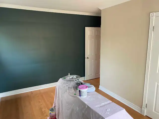 mikes painting - Photo 10
