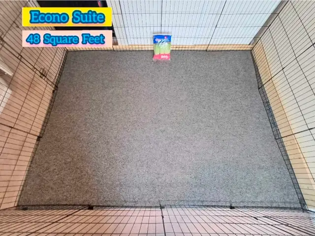 Rabbit Boarding & Training . XXL Private Rooms. 24/7 Love  Care - Photo 5