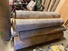 Several Red and Yellow Cedar Logs