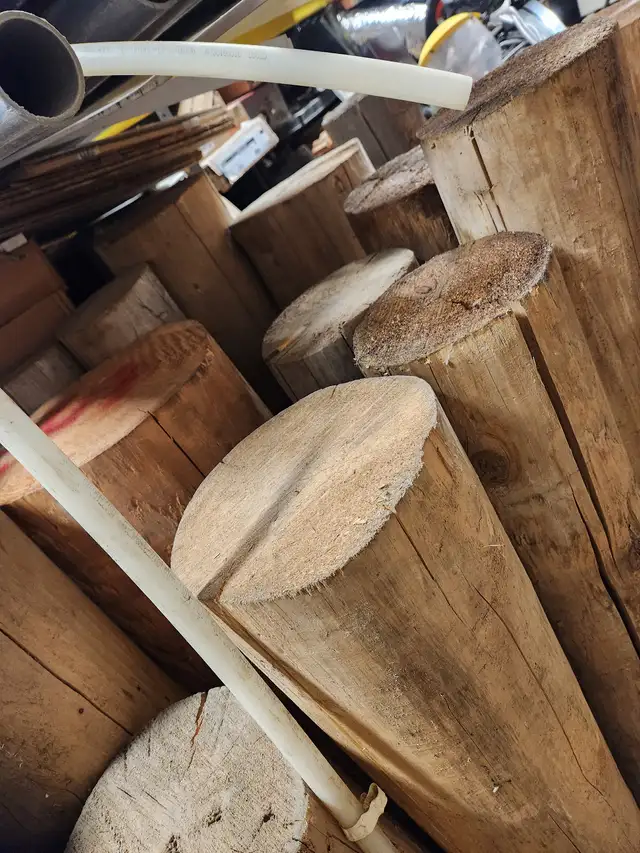 Several Red and Yellow Cedar Logs - Photo 2