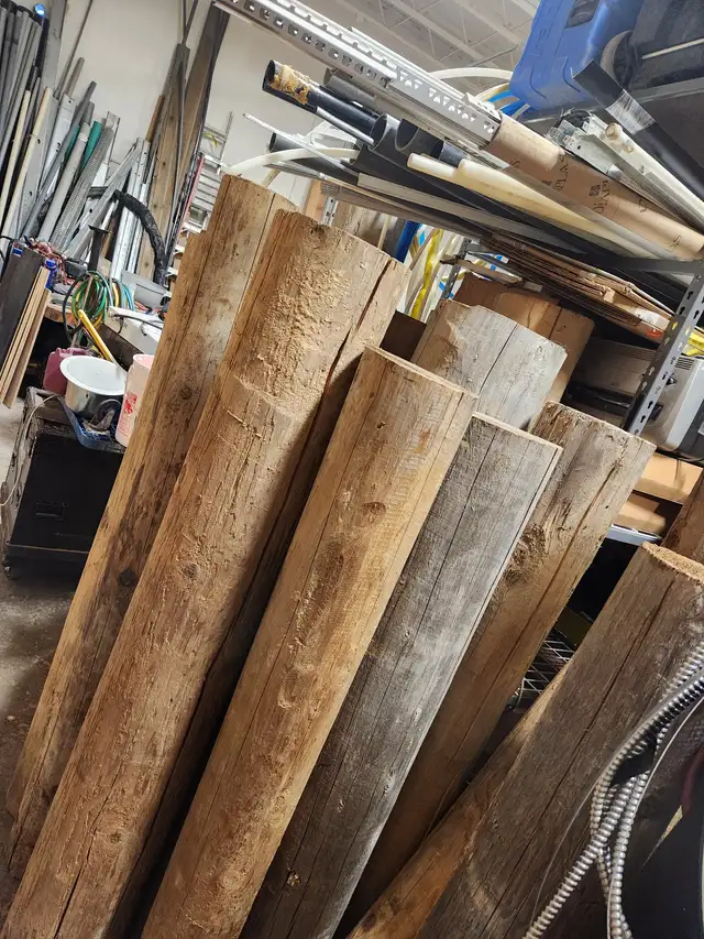 Several Red and Yellow Cedar Logs - Photo 4
