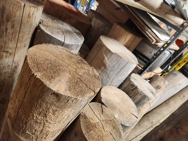 Several Red and Yellow Cedar Logs - Photo 5