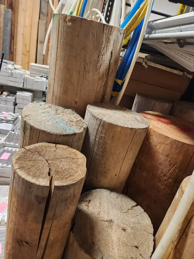 Several Red and Yellow Cedar Logs - Photo 6