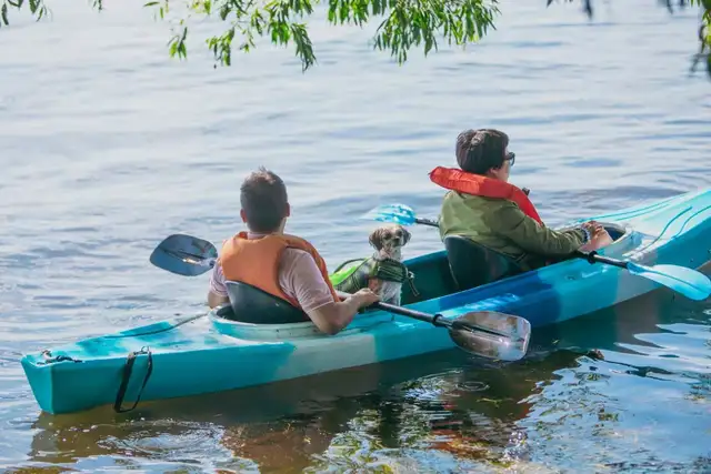 Cheapest Kayaking in Toronto – Starting from ONLY $25! - Photo 6