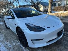 2021 Tesla Model 3 For Sale.