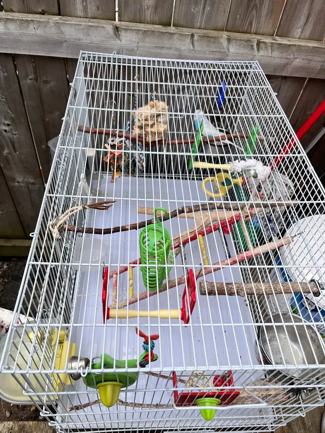 Bird Cage. With 2 Birds - Photo 2