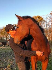 Horseback riding lessons