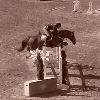 Horseback riding lessons - Photo 2