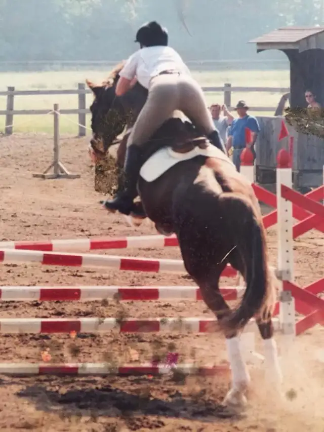 Horseback riding lessons - Photo 4