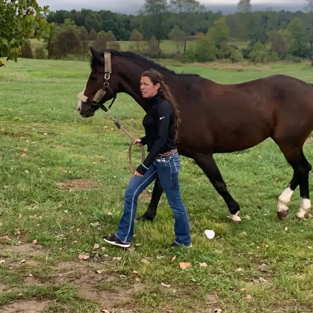 Horseback riding lessons - Photo 6