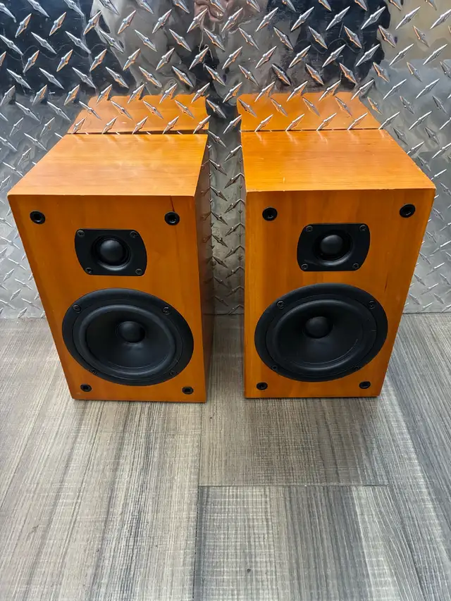 Aperion Diaural Speaker Pair