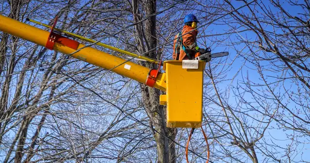 Foreman - Vegetation Management Job Opportunity - Photo 3