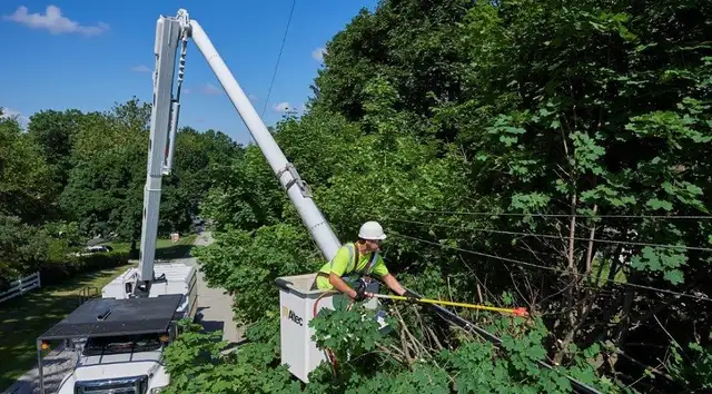 Foreman - Vegetation Management Job Opportunity - Photo 4