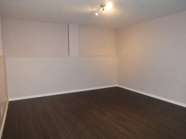 Spacious Basement Apartment & Shared Access Beautiful Kitchen! - Photo 2