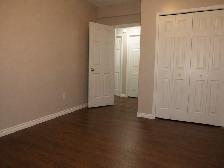 Spacious Basement Apartment & Shared Access Beautiful Kitchen! - Photo 3