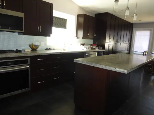Spacious Basement Apartment & Shared Access Beautiful Kitchen! - Photo 7