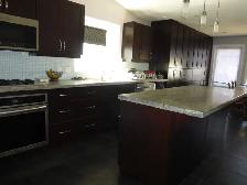 Spacious Basement Apartment & Shared Access Beautiful Kitchen! - Photo 7