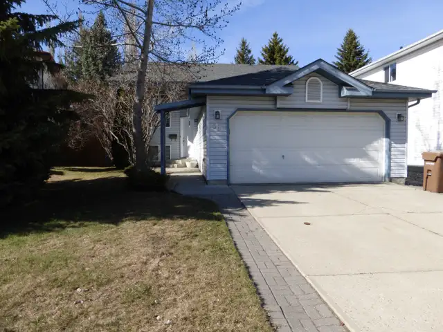 Spacious Basement Apartment & Shared Access Beautiful Kitchen! - Photo 10