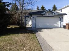Spacious Basement Apartment & Shared Access Beautiful Kitchen! - Photo 10