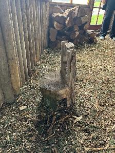 Garden/yard help needed