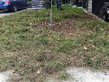concrete,enter locking and brick restorations - Photo 4