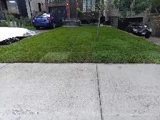 concrete,enter locking and brick restorations - Photo 5