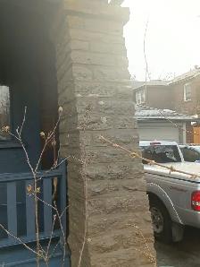 concrete,enter locking and brick restorations - Photo 7