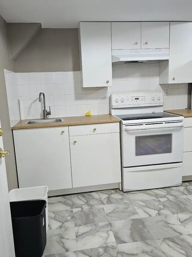Fully Furnished 1 Bedroom, 1 Bath, 1 Parking, Basement Apartment - Photo 6