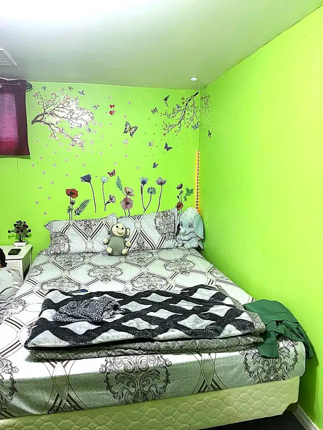 Basement room for rent for GIRLS only in MALTON - Photo 2