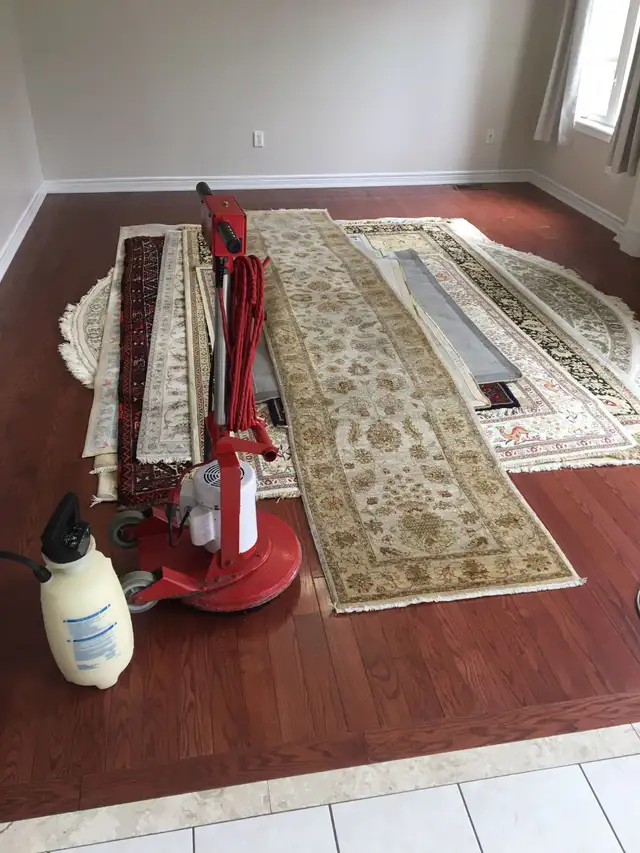 Carpet And Sofa Cleaning In Toronto