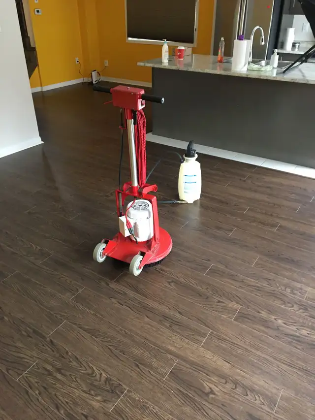 Carpet, Upholstery And Rug Cleaning ( Free Sample )