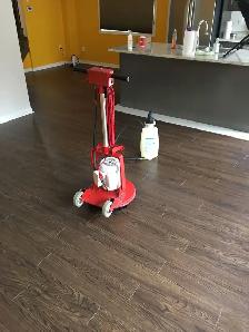 Carpet, Upholstery And Rug Cleaning ( Free Sample )
