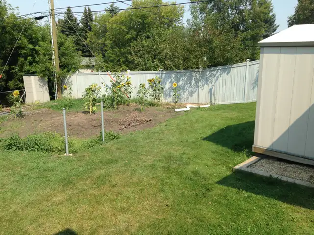 Amazing yard in Sherwood Park - Photo 4