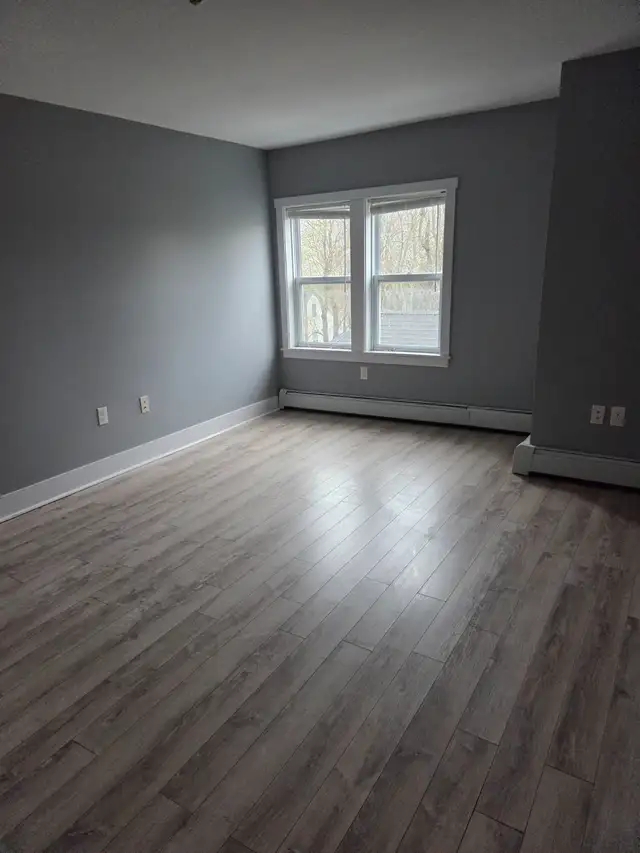 June 1st New Reno Large One BR Apt & Balcony Center Quinpool Rd - Photo 6